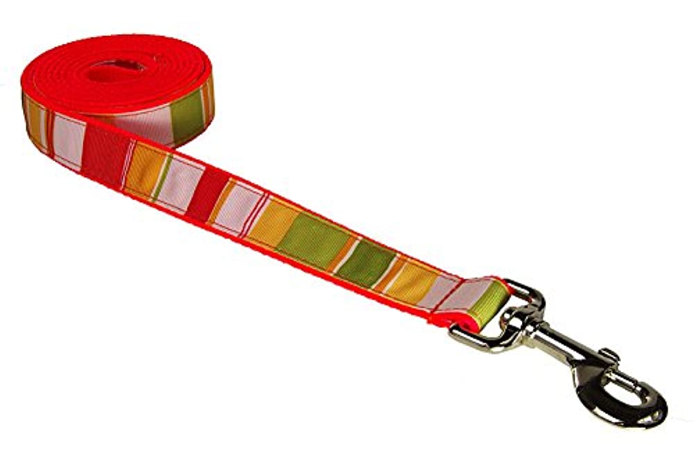 Dog Wear Dog Leash