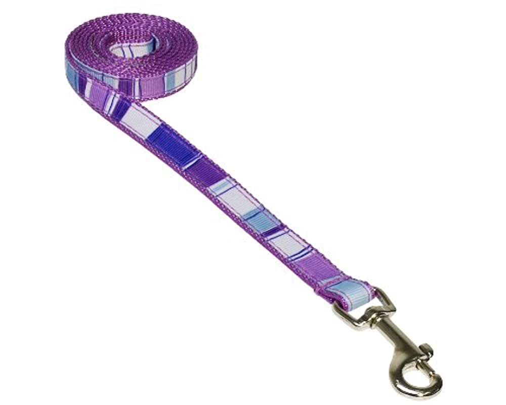 Dog Wear Dog Leash