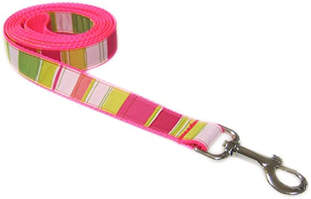 Dog Wear Dog Leash