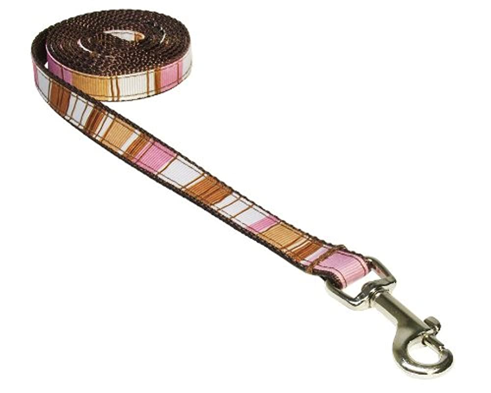 Dog Wear Dog Leash