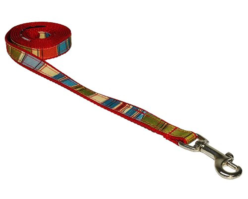 Dog Wear Dog Leash
