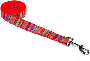 Dog Wear Dog Leash