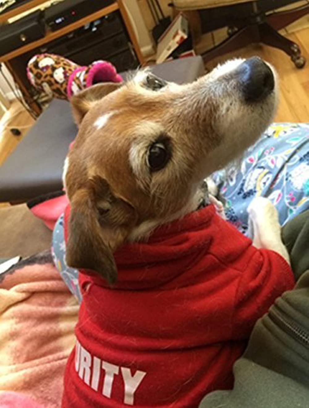 Security Patterns Printed Puppy Pet Hoodie Dog Clothes