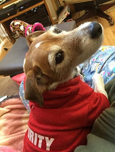 Security Patterns Printed Puppy Pet Hoodie Dog Clothes