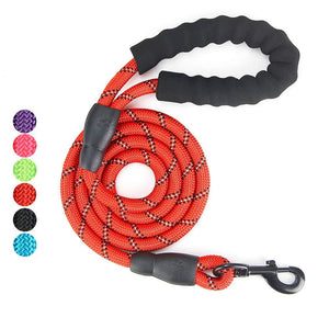 Gift Set for Dog Walking, Car Travel, Hiking, Camping – 5 FT Reflective Dog Leash, Adjustable Car Seat Belt and Collapsible Dog Cat Bowl