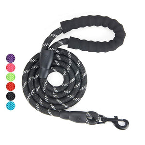 Gift Set for Dog Walking, Car Travel, Hiking, Camping – 5 FT Reflective Dog Leash, Adjustable Car Seat Belt and Collapsible Dog Cat Bowl