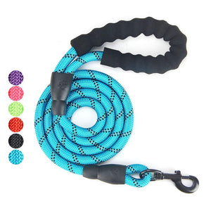 Gift Set for Dog Walking, Car Travel, Hiking, Camping – 5 FT Reflective Dog Leash, Adjustable Car Seat Belt and Collapsible Dog Cat Bowl