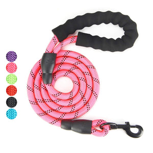 Gift Set for Dog Walking, Car Travel, Hiking, Camping – 5 FT Reflective Dog Leash, Adjustable Car Seat Belt and Collapsible Dog Cat Bowl